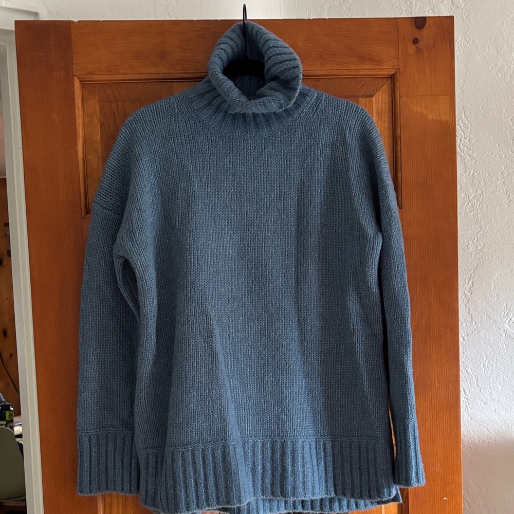 Everlane Blue Turtleneck Sweater